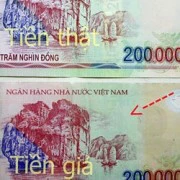 Hai anh em ruột sa vòng lao lý, vì tiếc mấy tờ tiền giả