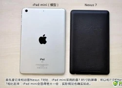 iPad mini "đọ dáng" cùng Nexus 7