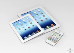 iPad mini sẽ có 16 phiên bản?