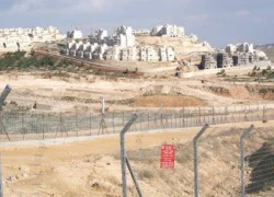 LHQ kêu gọi Israel ngăn bạo lực nhằm vào người Palestine