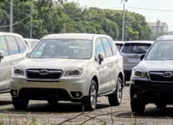 Lộ diện Subaru Forester 2014