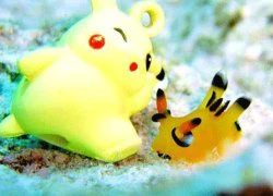 Loài sên biển giống hệt Pokémon