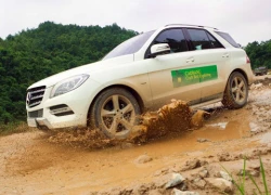 'Mãnh hổ' Mercedes ML350 trên xa lộ