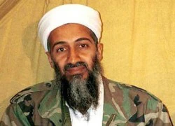 Quỹ tranh cử của Obama nhận tiền quyên góp từ... bin Laden