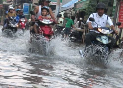 Sài Gòn 'rối loạn' vì triều cường đạt đỉnh