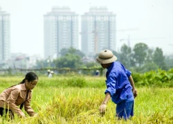 Thanh tra Chính phủ: Sai đâu phải sửa đó!