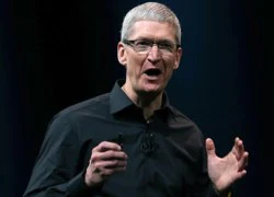 Tim Cook "xúc phạm" Surface và các dòng máy tính bảng 7 inch