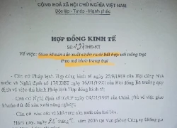 Từ vụ chết người do bom bi: "Lộ sáng" gần 60.000 m2 đất sử dụng sai mục đích