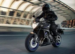 Yamaha FZ8 2013 ra mắt