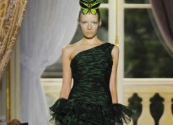 Ấn tượng Giambattista Valli