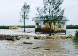 Áp thấp nhiệt đới có khả năng thành bão: Cảnh báo tàu thuyền đang hoạt động trên biển