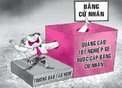 Đào tạo nghề lại cấp bằng cử nhân