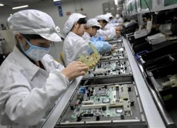 Foxconn có thể mở nhà máy tại Mỹ