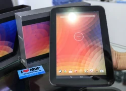 Google Nexus 10 về Việt Nam