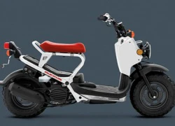 Honda trình làng scooter độc đáo Ruckus 2013