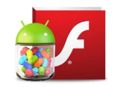 Hướng dẫn cài đặt Flash Player trên Android 4.1/4.2 Jelly Bean