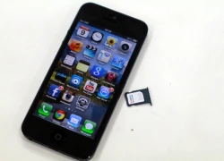 iPhone 5 giữ giá vì khan hàng