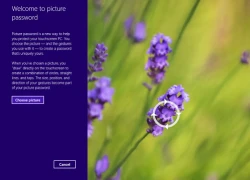 Khóa Windows 8 bằng mật khẩu hình ảnh