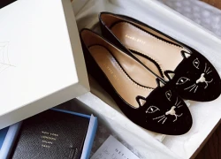 Kitty shoes - mẫu giày làm "chao đảo" fashionista thế giới