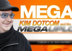 Megaupload chưa kịp hồi sinh đã bị dập