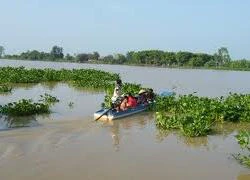 Mỗi ngày hàng trăm "tài công nhí" điều khiển phương tiện vận tải trên sông