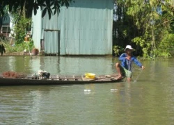 Một tiểu thương thả gần 2 tấn cá nước ngọt ra sông