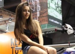 Nhộn nhịp người mẫu tại sự kiện EICMA 2012