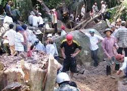 Phu trầm gửi đơn lên Bộ Công an tố cáo 3 công an "ăn chặn" kỳ nam