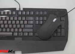 Razer DeathAdder Arctosa: Vẻ đẹp "xuyên thời gian"