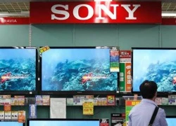 Sony và Panasonic &quot;không có cơ may nhận đầu tư&quot;