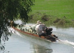 Thủ đoạn buôn lậu mới: Hàng xuất quay đầu &#8220;đánh&#8221; hàng nội