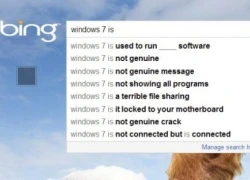 "Windows 7 không bản quyền" bị truy tìm trên Google