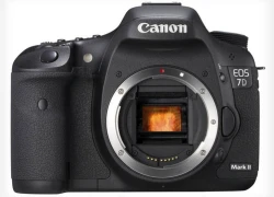 Canon 7D Mark II sẽ hướng tới nhiếp ảnh gia thể thao