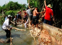 "Chạy lụt" giữa đêm vì đê bao bị vỡ