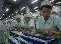 Chỉ tiêu tăng trưởng GDP năm 2013 khoảng 5,5%