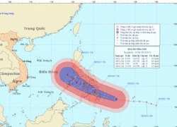 Chủ động đối phó với siêu bão Bopha