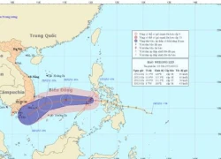 Còn nhiều tàu, thuyền đang ở khu vực bão số 10 sẽ "quét" qua