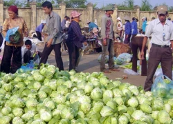 "Đánh" thực phẩm bẩn có trọng tâm