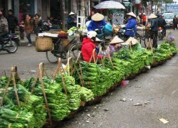 Đi Lạng Sơn chớ quên ngồng cải