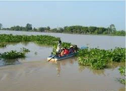 Điều khiển phương tiện thủy cá nhân phải có giấy phép