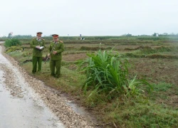 Hạn chế tối đa trọng án