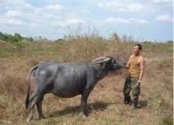 Kiếm 50 triệu/tháng: 'Ai bảo chăn trâu là khổ?'