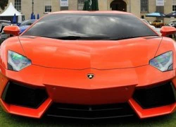 Lamborghini Aventador ở Việt Nam "dính án" thu hồi?