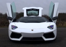 Lamborghini Aventador phiên bản rồng tái xuất