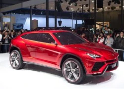 Lamborghini chưa cần một mẫu SUV