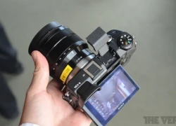 Năm nay máy ảnh mirrorless bán tốt