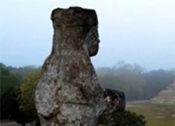 "Ngày tận thế" trở thành ngày hội