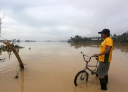 Người Philippines trong nỗi đau sau bão