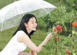 Nhà đài xin lỗi Lee Young Ah vì đưa tin thất thiệt