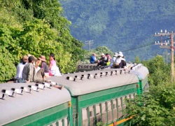 'Phi đội' tiều phu nhảy tàu mưu sinh